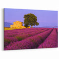 Provence Wall Art - Lavender Fields with Rustic Farmhouse and Tree