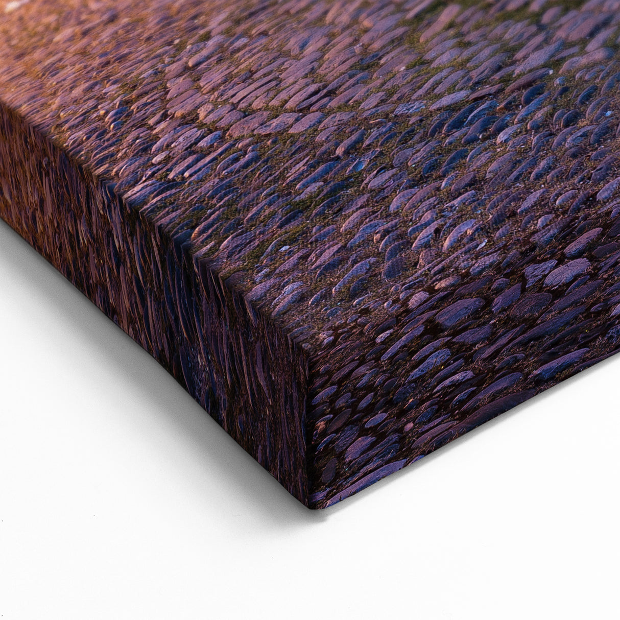 Provence Home Decor - Historic French Fountain and Elegant Building Scene