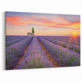 Provence Landscape Print - Sunset Over Lavender Fields and Cottage