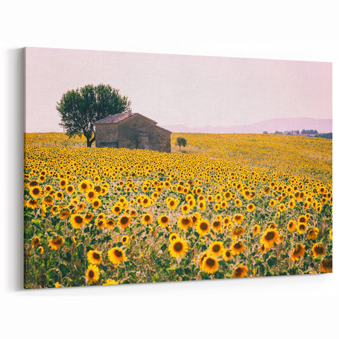 Provence Wall Art – Sunflower Fields and Rustic French Countryside Scene