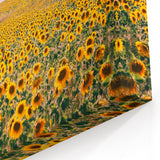 Provence Wall Art – Sunflower Fields and Rustic French Countryside Scene