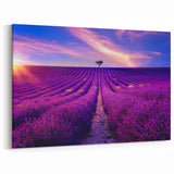Lavender Field Artwork – Vibrant Provence Landscape at Sunset