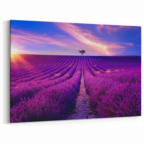Lavender Field Artwork – Vibrant Provence Landscape at Sunset