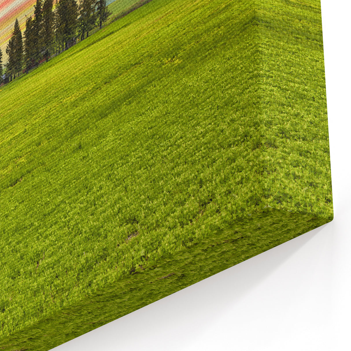 Palouse Framed Prints – Serene Sunset Over Green Fields in Washington