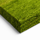 Palouse Framed Prints – Serene Sunset Over Green Fields in Washington