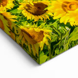 South of France Wall Art - Sunflower Field Provence Art Prints