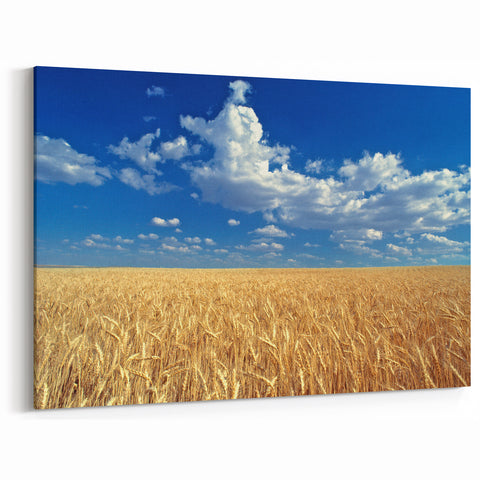 Scenic Palouse Prints - Washington Wheat Field Photography on Canvas