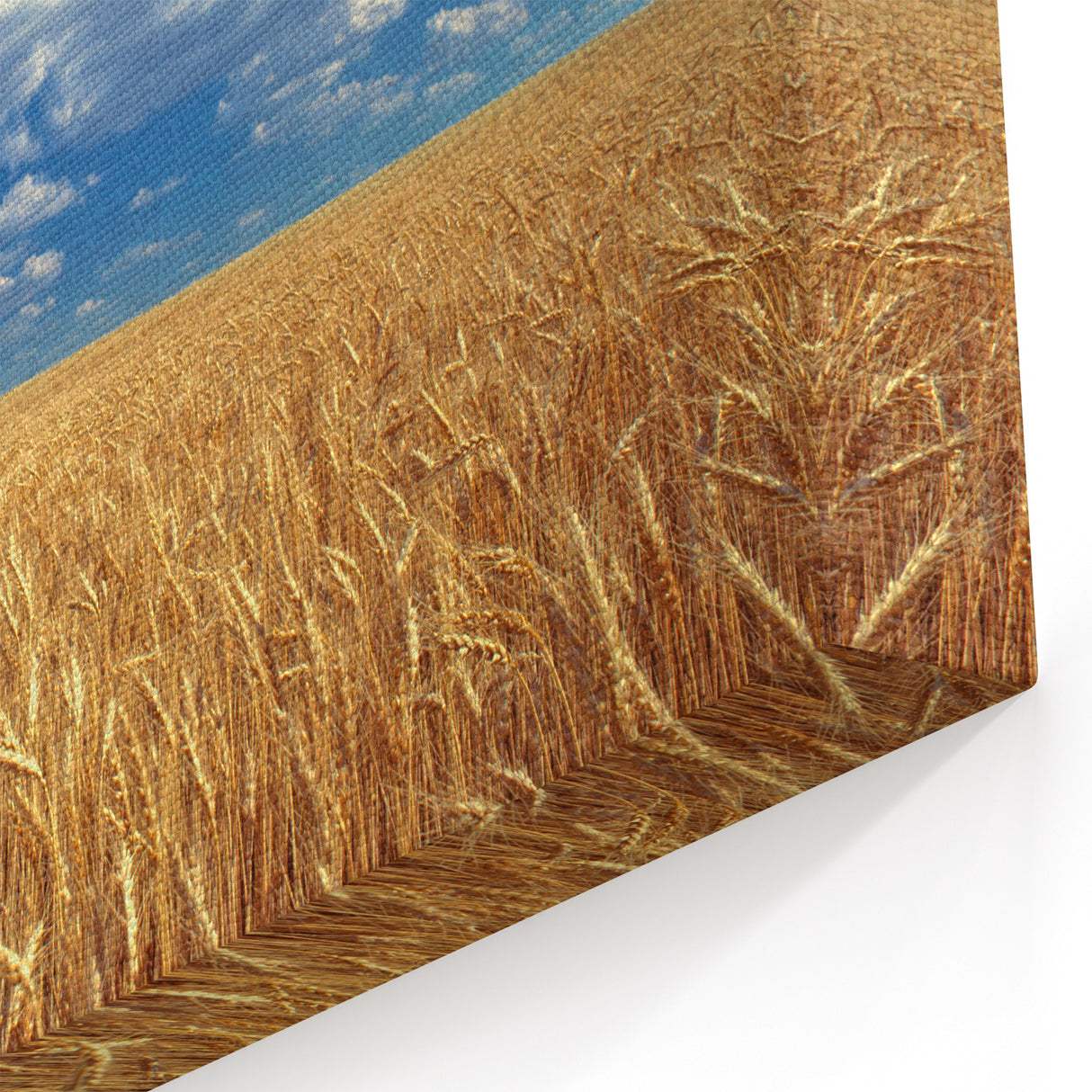 Scenic Palouse Prints - Washington Wheat Field Photography on Canvas