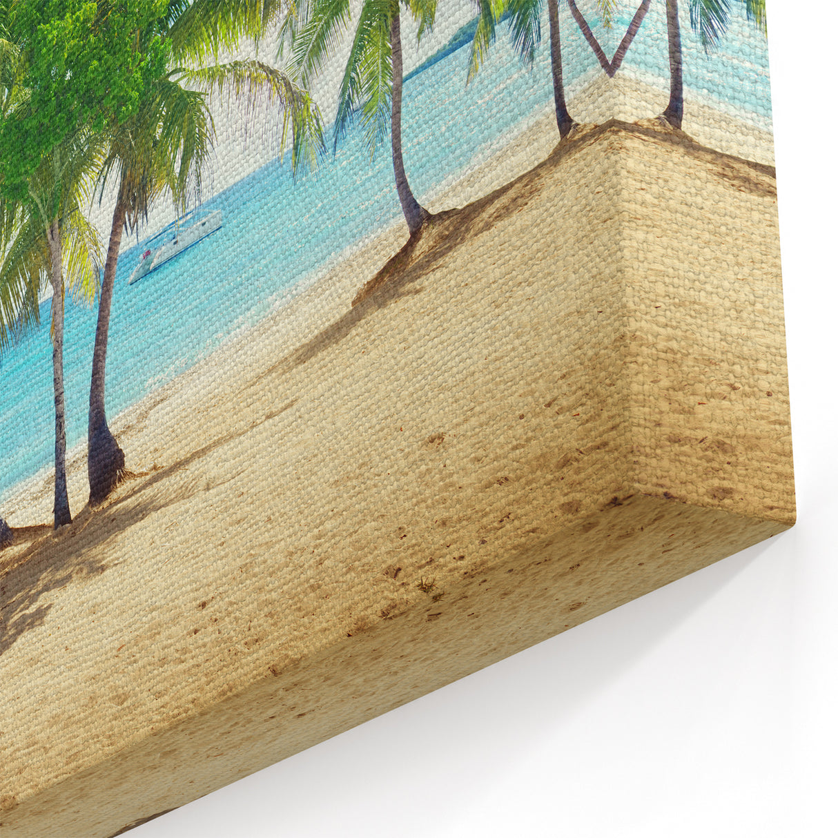 Scenic Coastal Photography Canvas Print - Catalina Island Wall Art