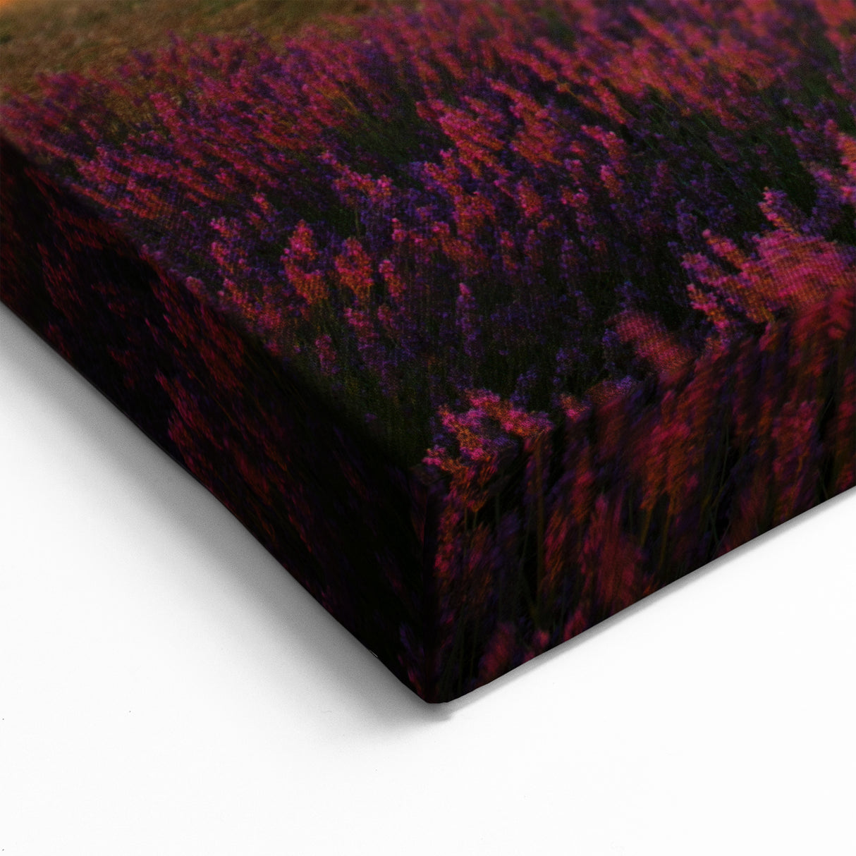 Lavender Field Art Prints - Scenic Provence Sunset French Countryside Art