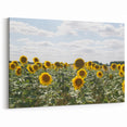 French Countryside Wall Decor - Provence Sunflower Field Art Prints