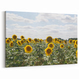 French Countryside Wall Decor - Provence Sunflower Field Art Prints