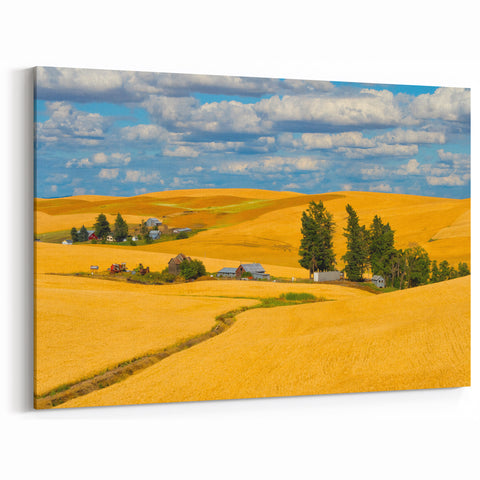 Palouse Region Art - Golden Wheat Fields and Farmhouses on Canvas or Acrylic