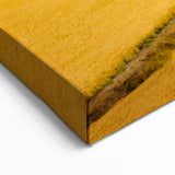 Palouse Region Art - Golden Wheat Fields and Farmhouses on Canvas or Acrylic