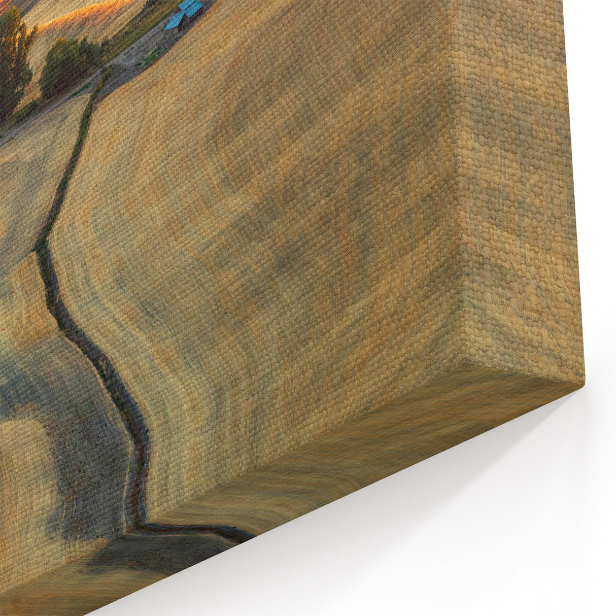 Palouse Wall Art - Rolling Fields in Golden Light on Canvas or Acrylic