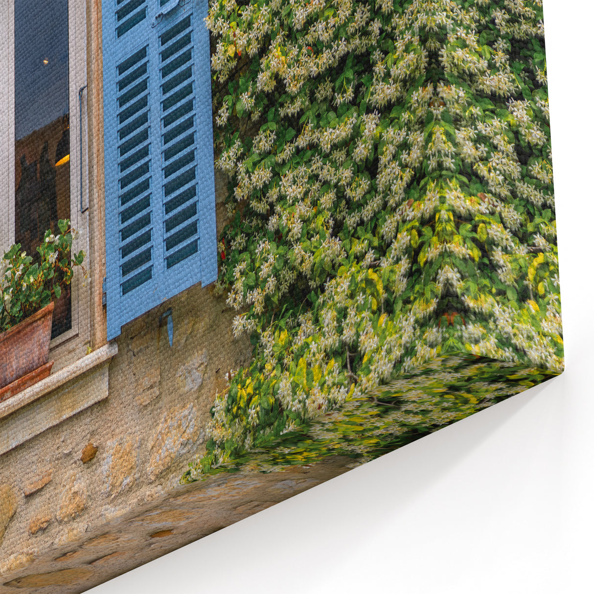 French Countryside Wall Decor - Blue Shutters with Flowering Vines