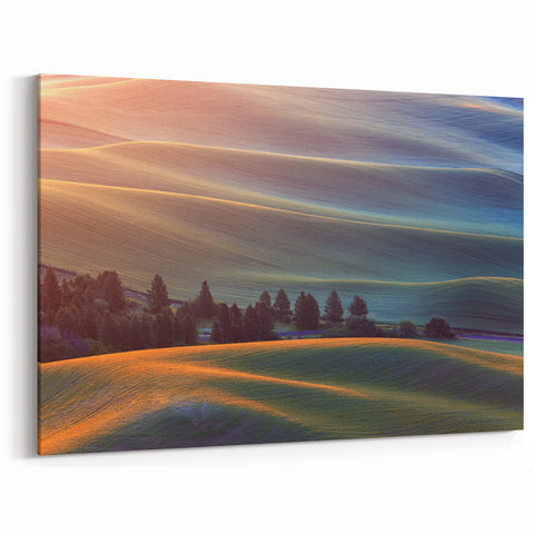 Palouse Wall Art - Golden Hour Over Rolling Hills Landscape on Canvas