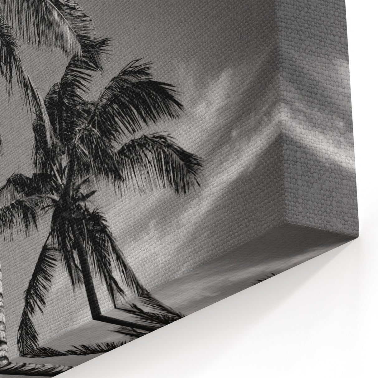 Miami Black and White Palm Tree Art – Minimalist Tropical Canvas Print