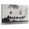 Serene Coastal Landscape Canvas - Miami Black and White Palm Tree Art