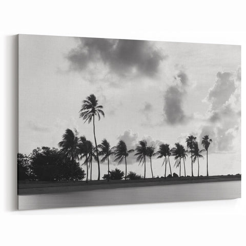 Serene Coastal Landscape Canvas - Miami Black and White Palm Tree Art