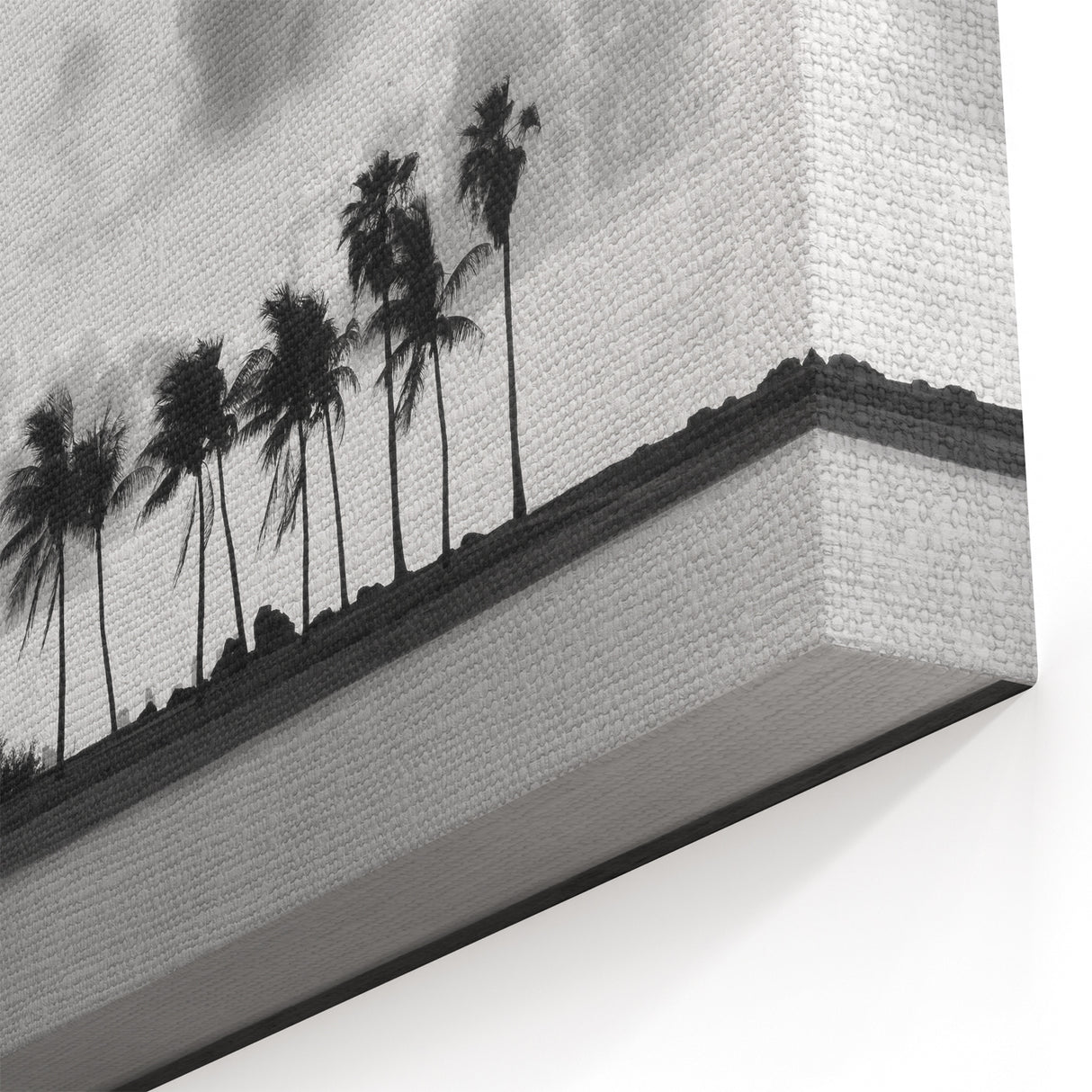 Serene Coastal Landscape Canvas - Miami Black and White Palm Tree Art