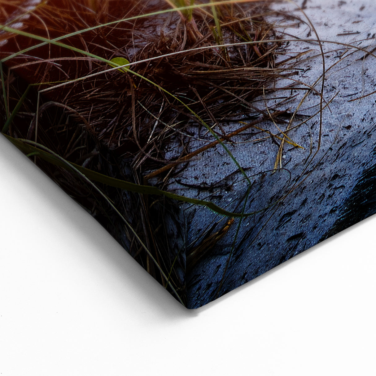 Palm Beach Wall Art - Coastal Scenic Beach Photography on Canvas & Prints