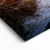 Palm Beach Wall Art - Coastal Scenic Beach Photography on Canvas & Prints