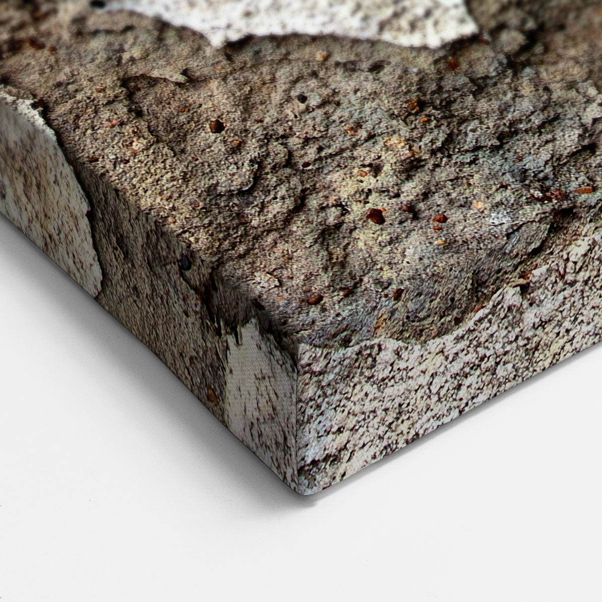 Masonry Wall Art - Ornate Gold Frame on Distressed Wall Canvas Print