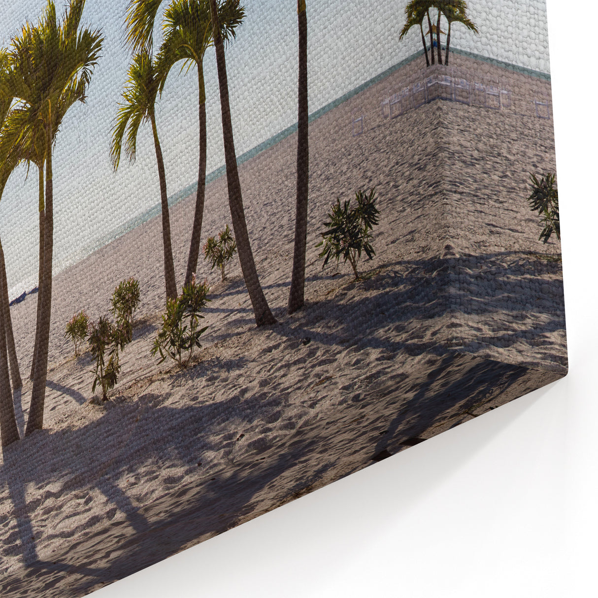 Palm Beach Canvas Art - Florida Tropical Coastal Photography for Wall Decor