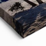 Palm Beach Canvas Art - Florida Tropical Coastal Photography for Wall Decor