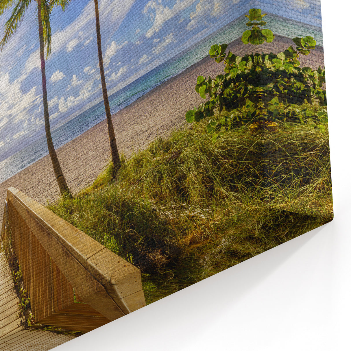 Palm Beach Coastal Wall Art - Tropical Beach Photography for Home Decor