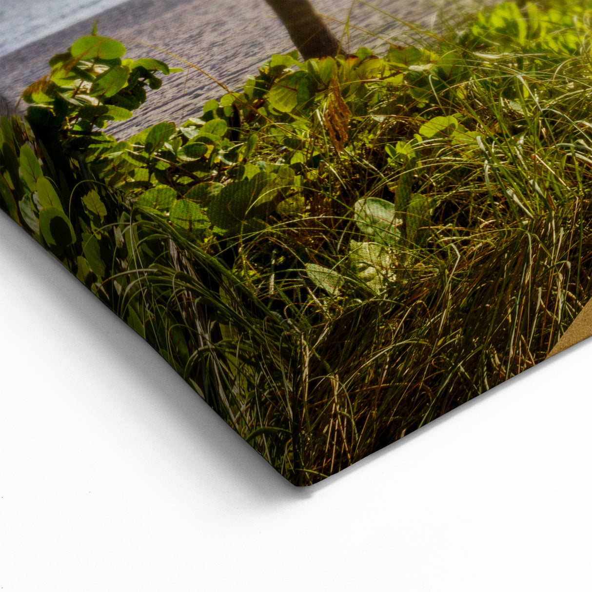 Palm Beach Coastal Wall Art - Tropical Beach Photography for Home Decor