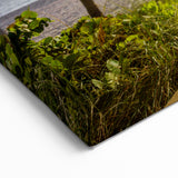 Palm Beach Coastal Wall Art - Tropical Beach Photography for Home Decor