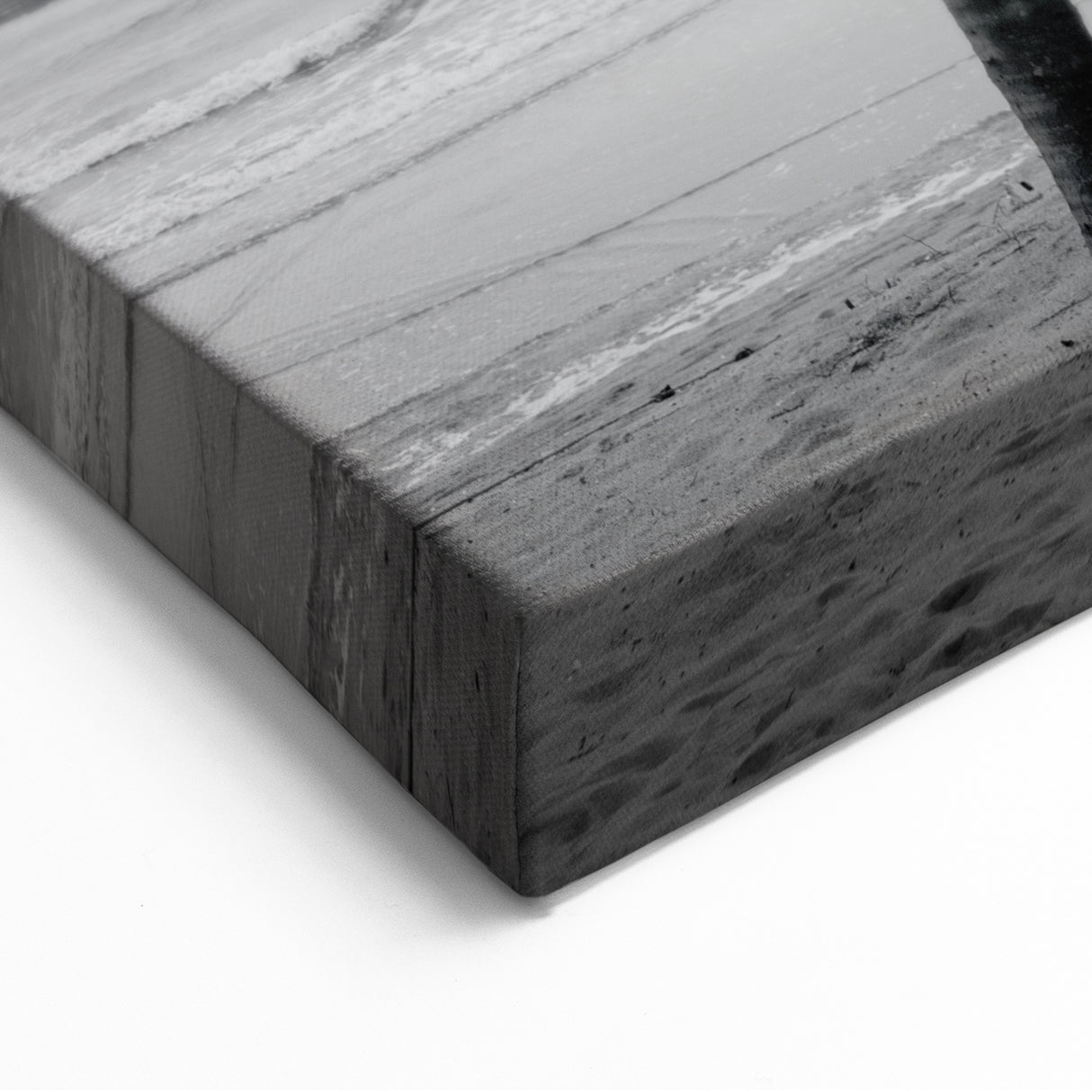 Black and White Palm Beach Art - Tropical Coastal Photography for Wall Decor