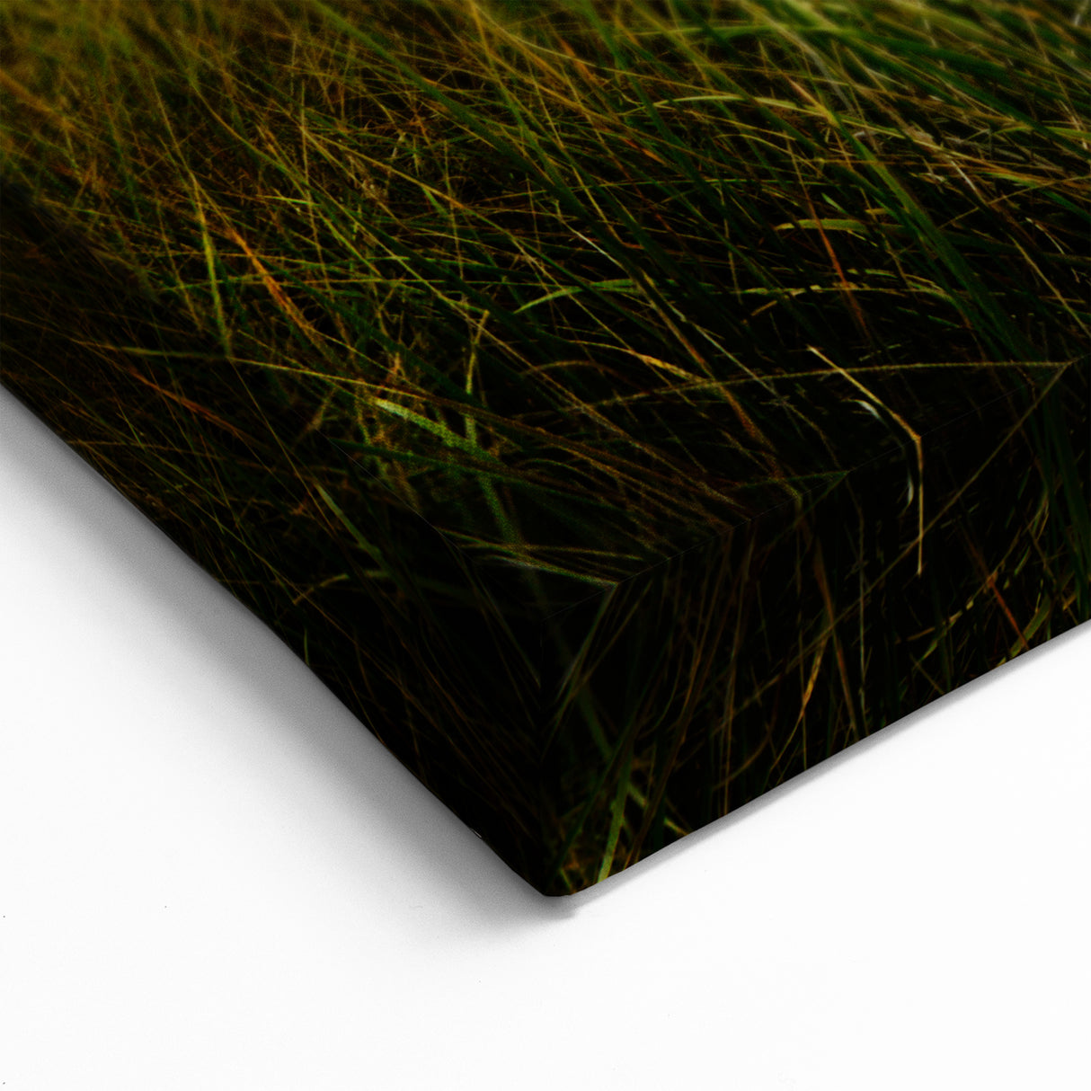 Wellington Harbor Art - Scenic Sunset over Coastal Grassland Print