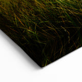 Wellington Harbor Art - Scenic Sunset over Coastal Grassland Print