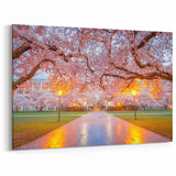 Cherry Blossoms in Full Bloom – Scenic Spring Seattle Photography Art
