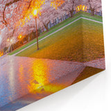 Cherry Blossoms in Full Bloom – Scenic Spring Seattle Photography Art