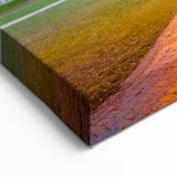 Cherry Blossoms in Full Bloom – Scenic Spring Seattle Photography Art