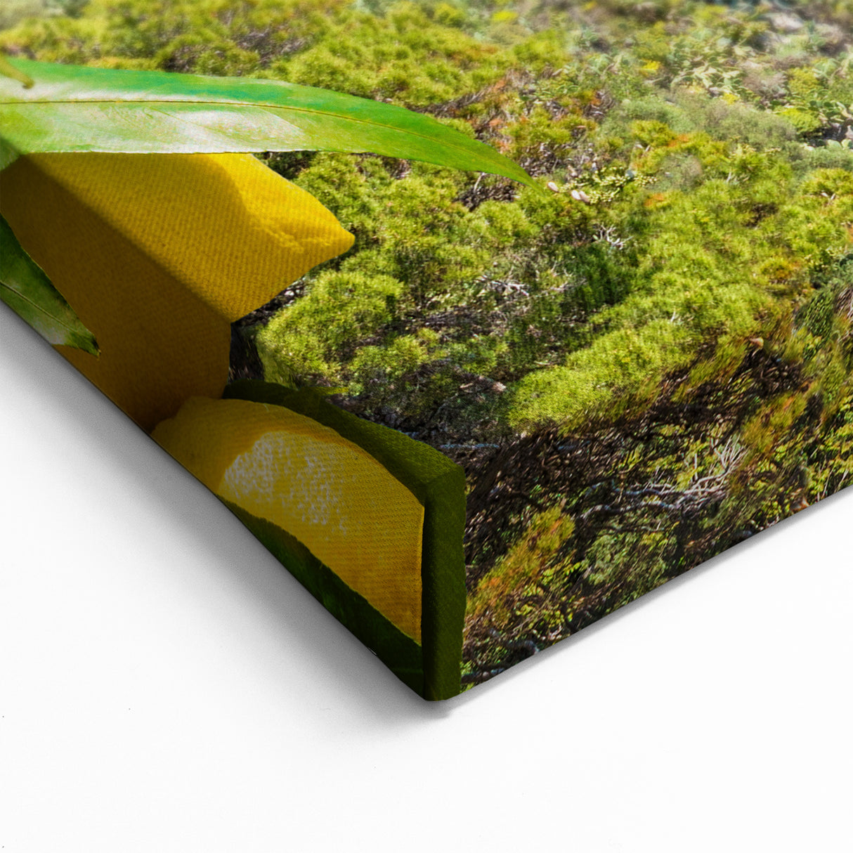 Capri Travel Poster - Italy Scenic Prints for Mediterranean Decor