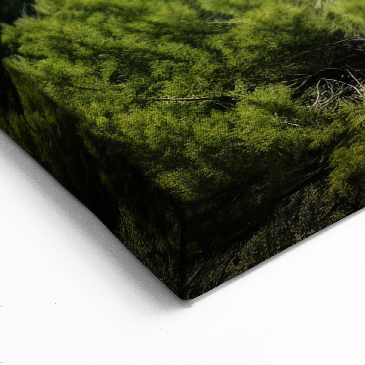 Capri Wall Art – Italy Scenic Prints of Mediterranean Coastal Views