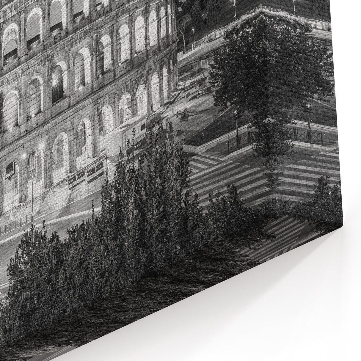 Rome Colosseum Canvas – Iconic Black and White Architecture Print