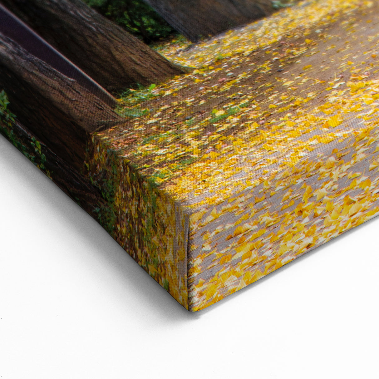 Virginia Nature Art - Tree-Lined Path in Spring Scenic Photography Print