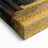 Virginia Nature Art - Tree-Lined Path in Spring Scenic Photography Print