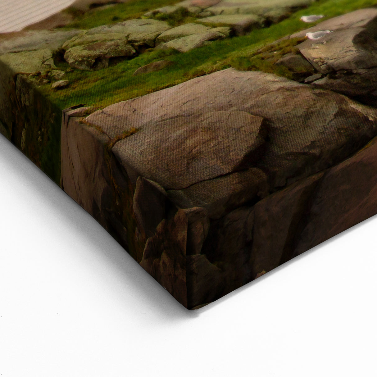 Wellington Harbor Art - New Zealand Lighthouse at Sunset Print