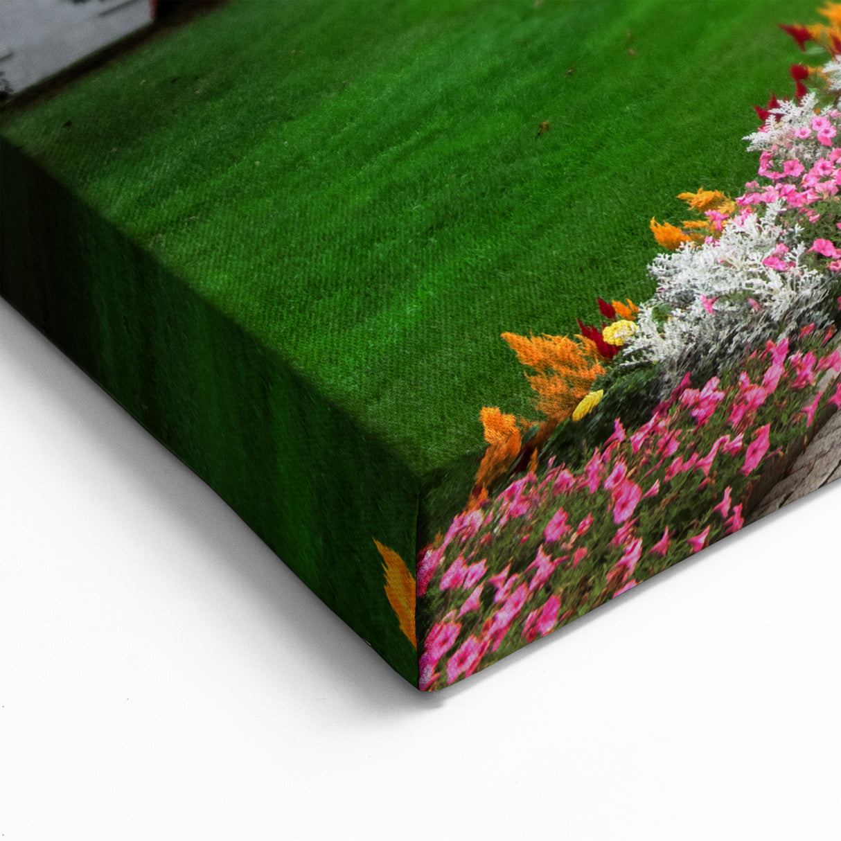 Wellington Skyline Art - Historic Building with Lush Gardens Photography Print