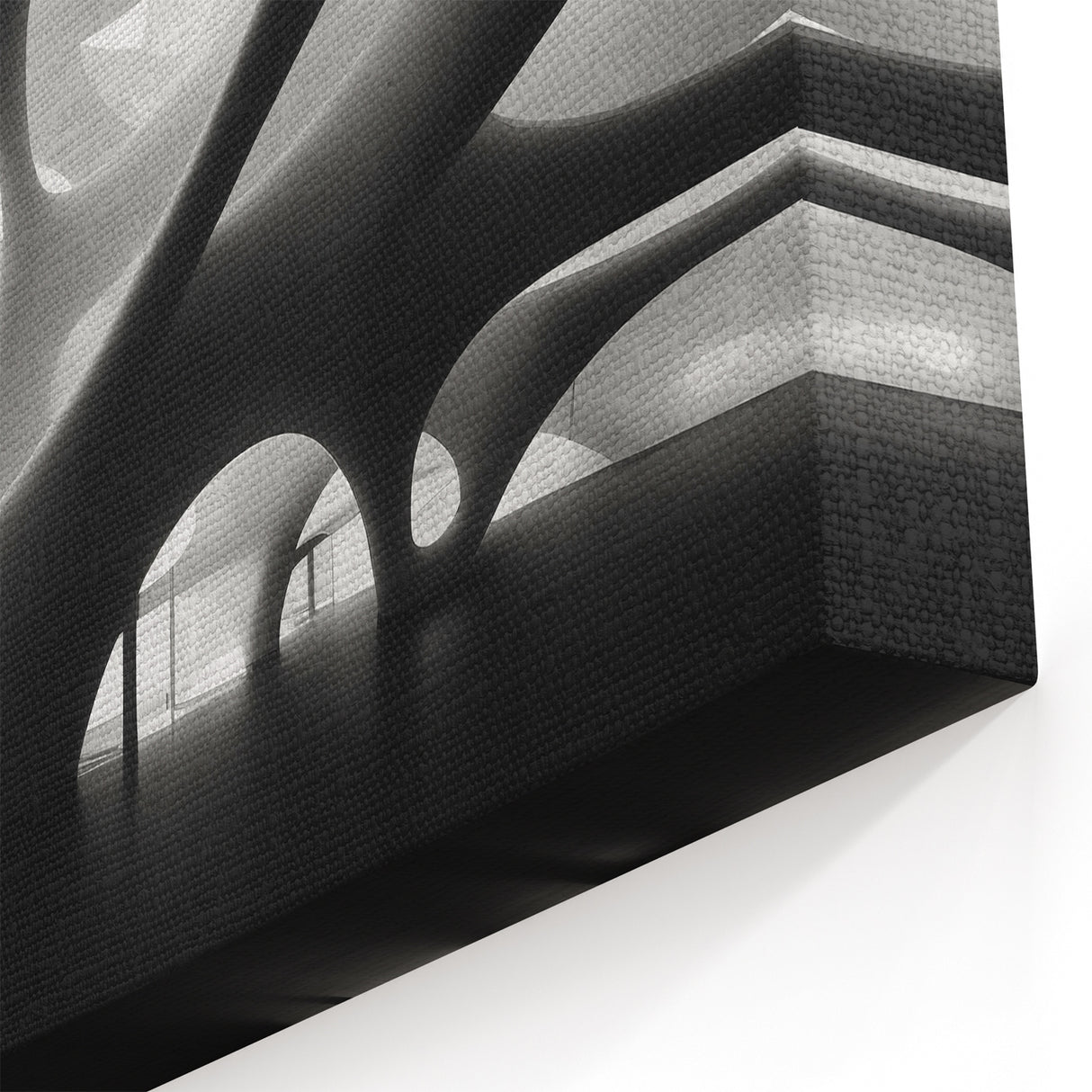 Organic Architectural Forms Art - Surreal Monochrome Canvas Print
