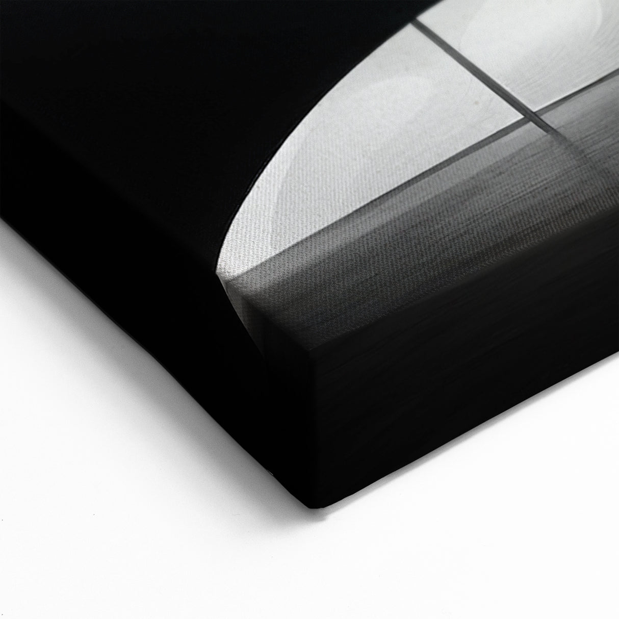 Organic Architectural Forms Art - Surreal Monochrome Canvas Print