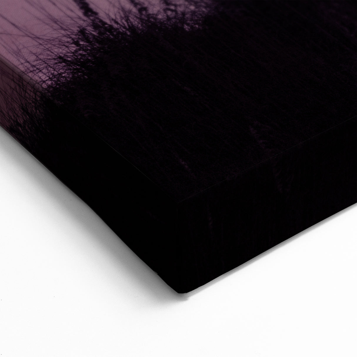 Tybee Island Lighthouse - Savannah Georgia Wall Art Scenic Photography