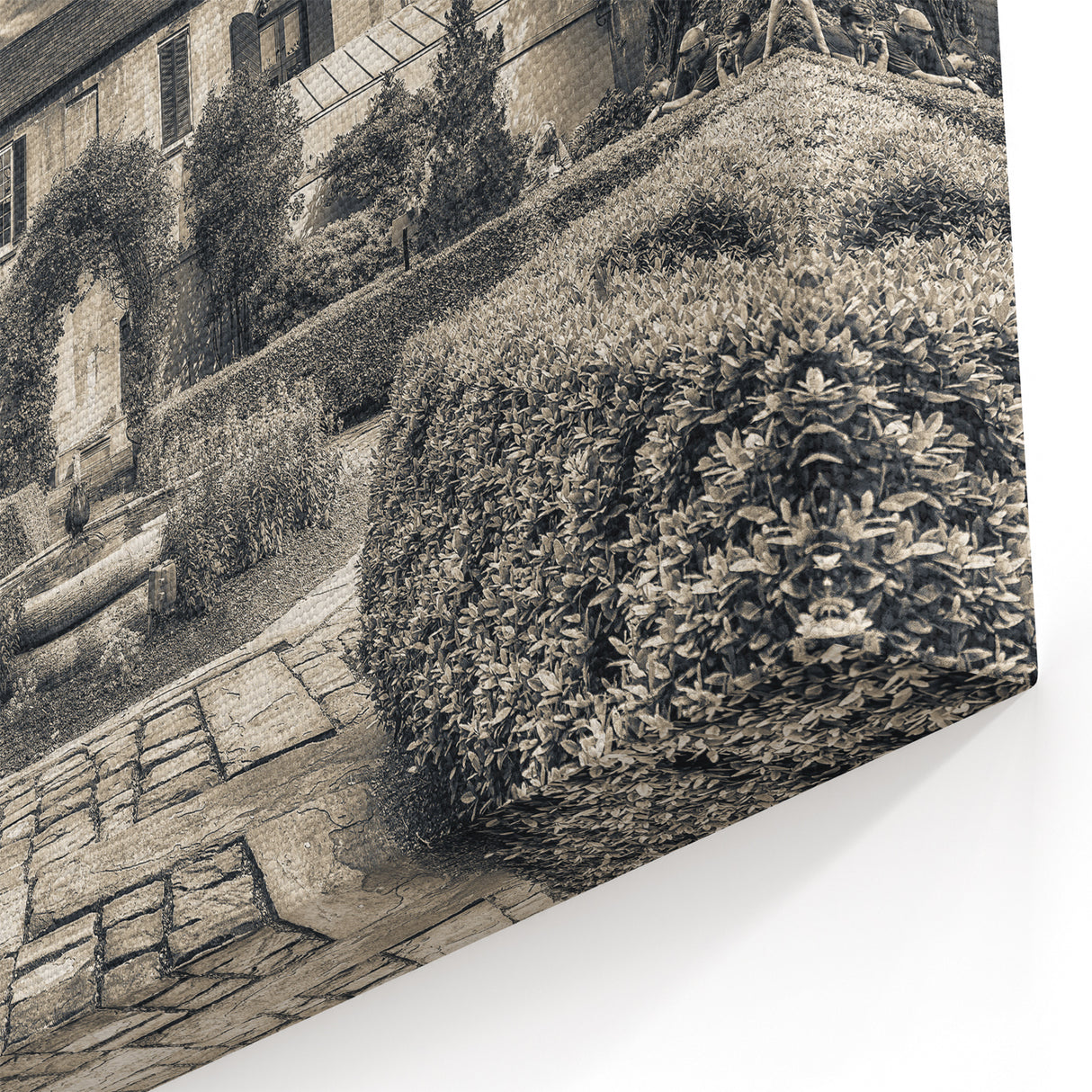 Historic Savannah Garden - Black and White Scenic Photography Art Print